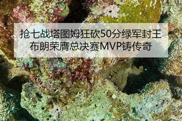 qiang-qi-zhan-ta-tu-mu-kuang-kan-fen-lv-jun-feng-wang-bu-lang-rong-ying-zong-jue-sai-zhu-chuan-qi-2-152.jpg